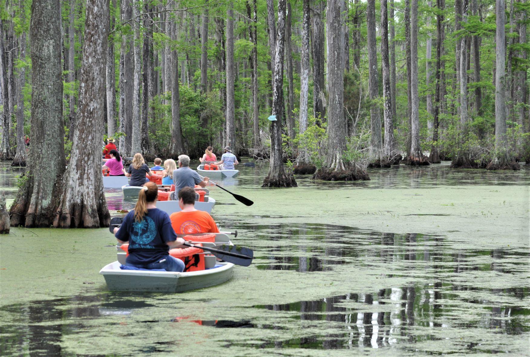 Cypress Gardens (copy) (copy)